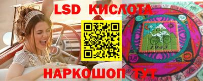 молекула духа Кулебаки