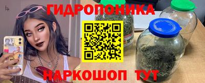 молекула духа Кулебаки